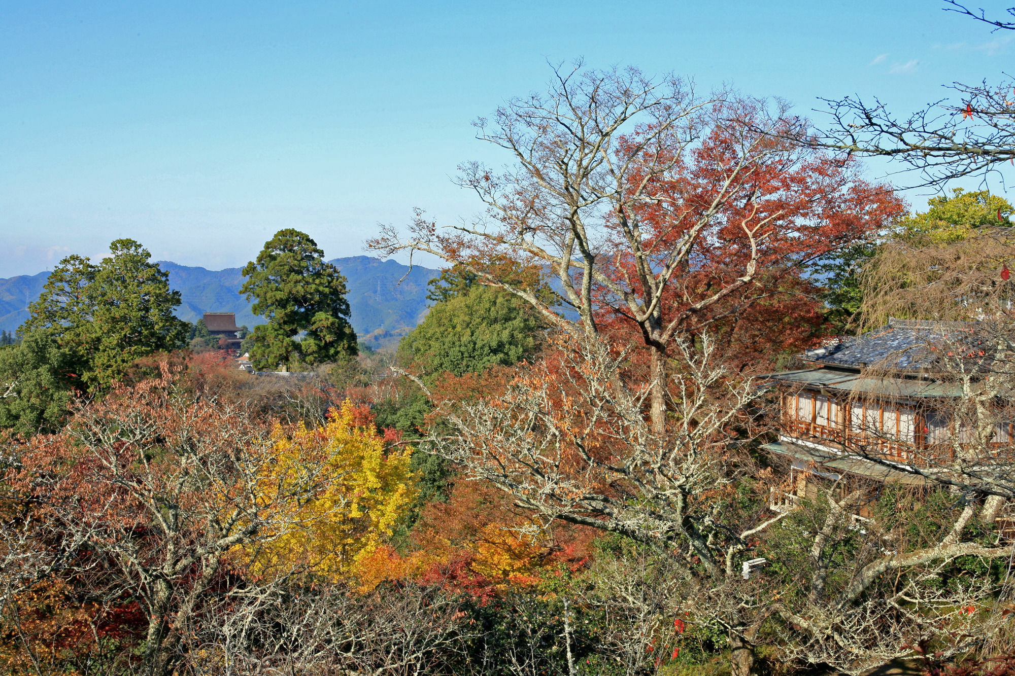 Chikurinin Gunpoen Hotel Nara Exterior photo